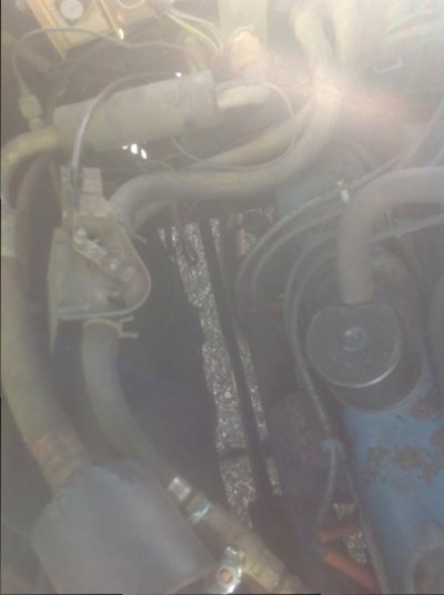 image (3).jpeg image (3).jpeg