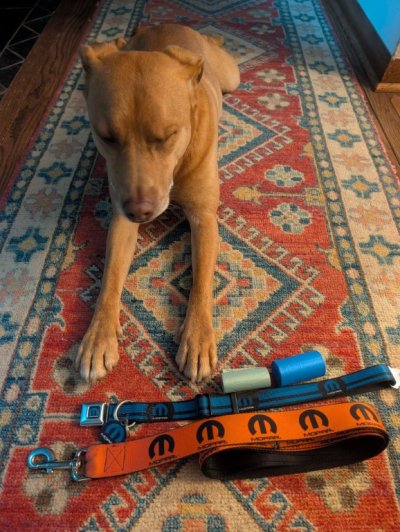 mopar milo.jpg