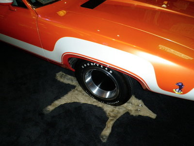 P6040097.sized.jpg P6040097.sized.jpg