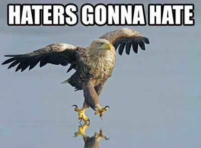 haters-gonna-hate-06.jpg