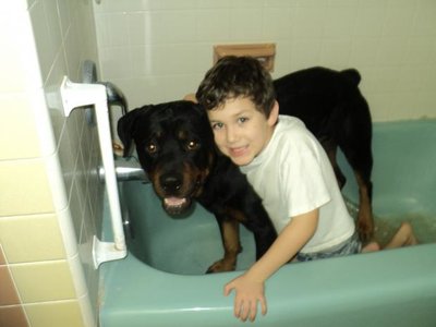 AL PIC LITTLE 116.jpg AL PIC LITTLE 116.jpg