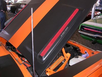 DSCN5967.jpg