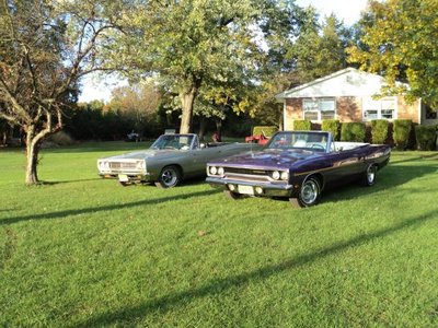 AL PIC  LITTLE 144.jpg AL PIC  LITTLE 144.jpg