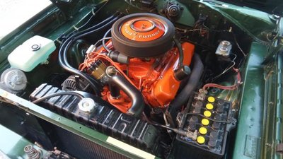 11223983_10204511370011099_3302199672955486509_o.jpg 11223983_10204511370011099_3302199672955486509_o.jpg