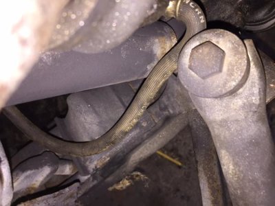 IMG_3217.jpg IMG_3217.jpg