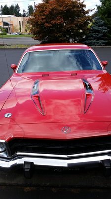 Roadrunner2.jpg Roadrunner2.jpg