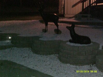 Sonora front yard #2.jpg Sonora front yard #2.jpg