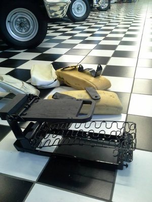 zbuddy seat.jpg zbuddy seat.jpg