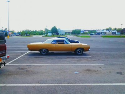 mms_picture (17).jpg