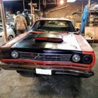 roadrunnerbob