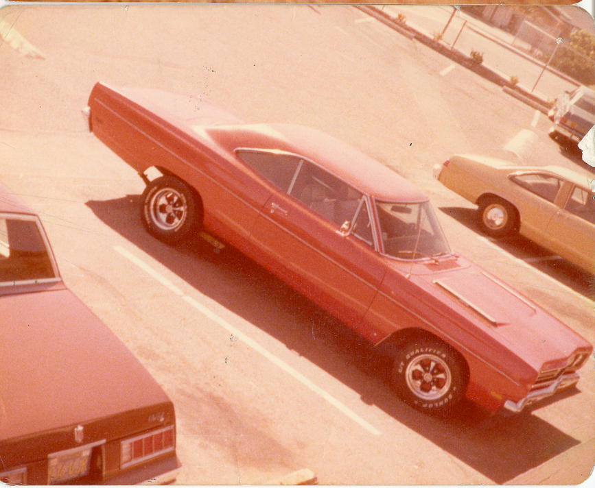 my_road_runner.jpg