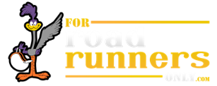 logo_rr.png